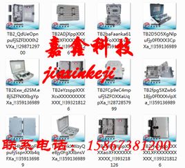 24芯光纖分纖箱 連接全球通訊網絡的關鍵設備